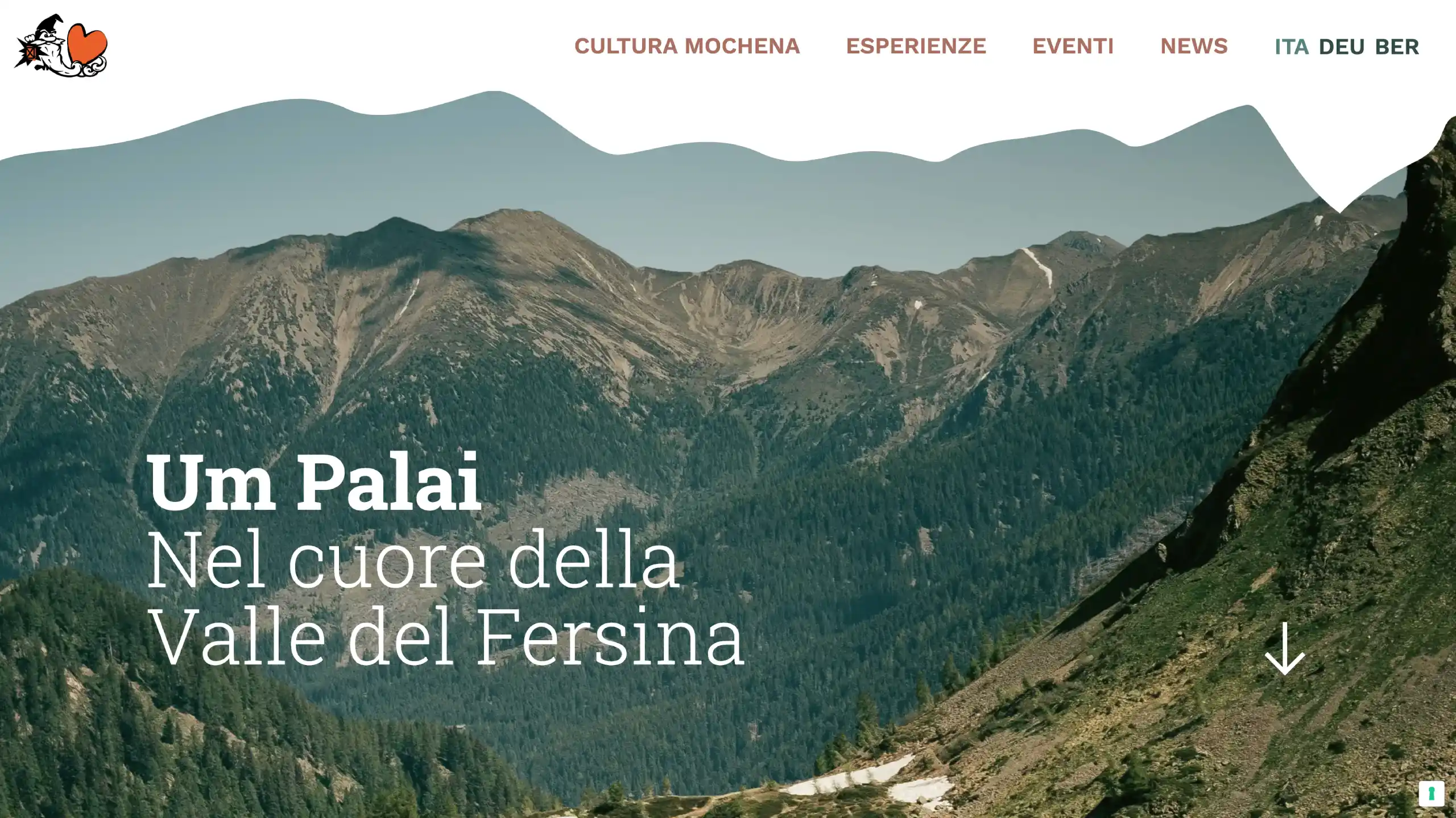 Layout homepage